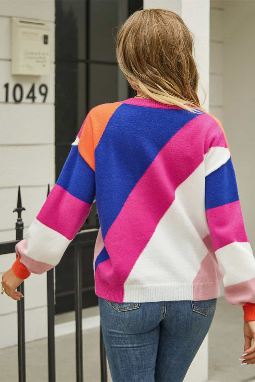 Angel Wings Color Block Round Neck Long Sleeve Sweater